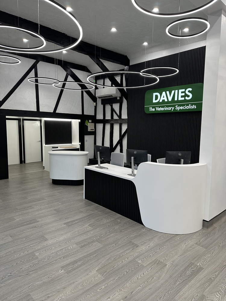 Reception fit-out at Davies Veterinary Specialists with curved white desk and feature lighting