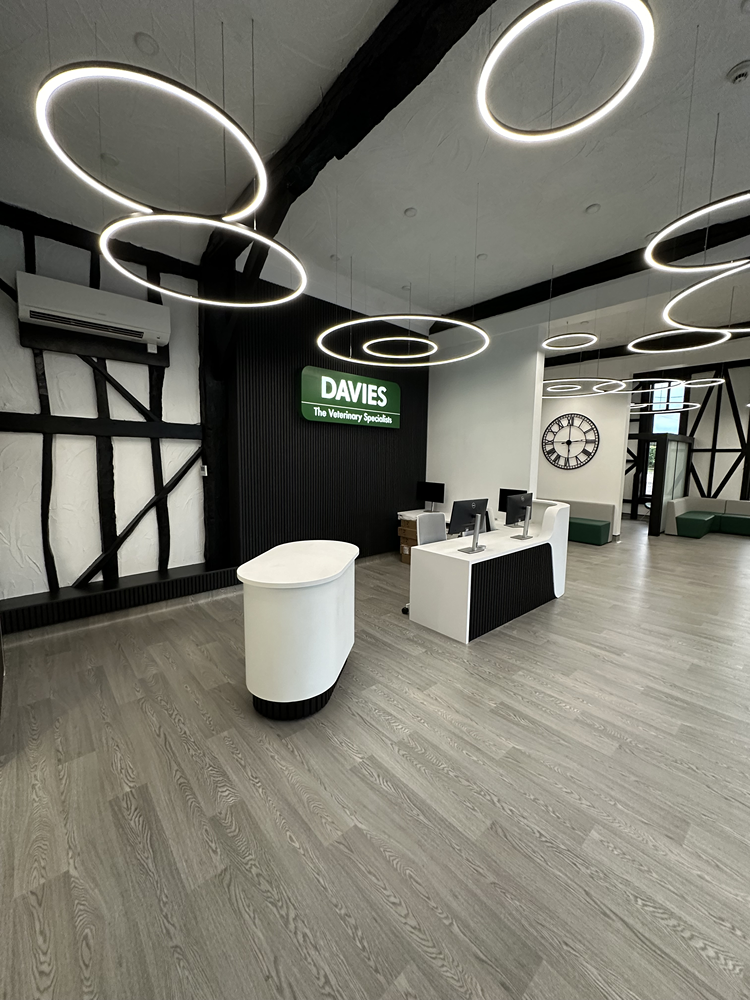 Refurbished reception area at Davies Veterinary Specialists with exposed beams and ring lights