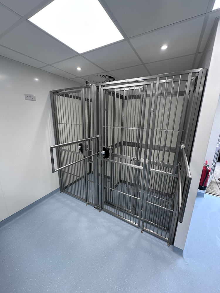 Heavy-duty dog kennel installation in a veterinary facility