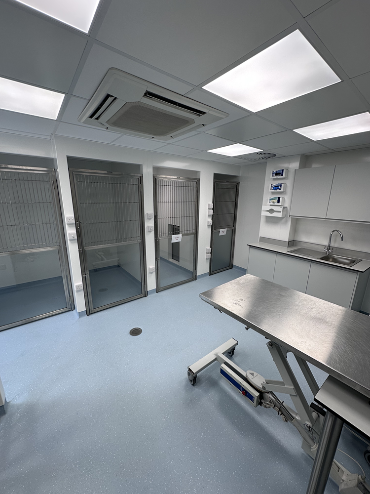 Veterinary treatment room fit-out with stainless steel examination table and kennels
