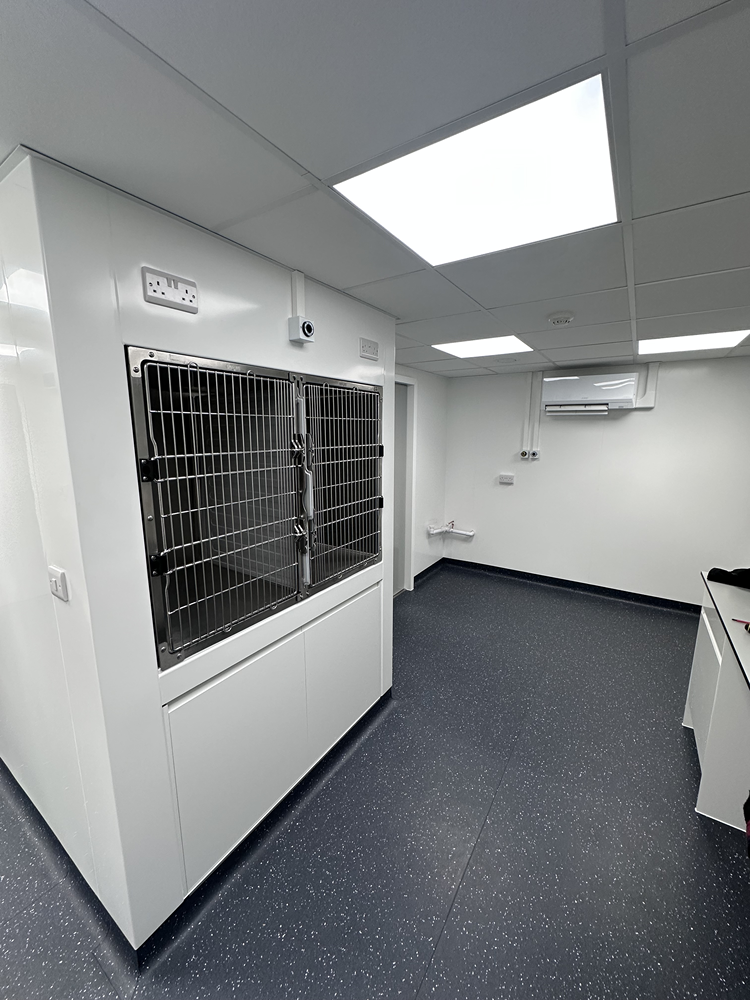 Wall-mounted recovery cage installation in a clinical room