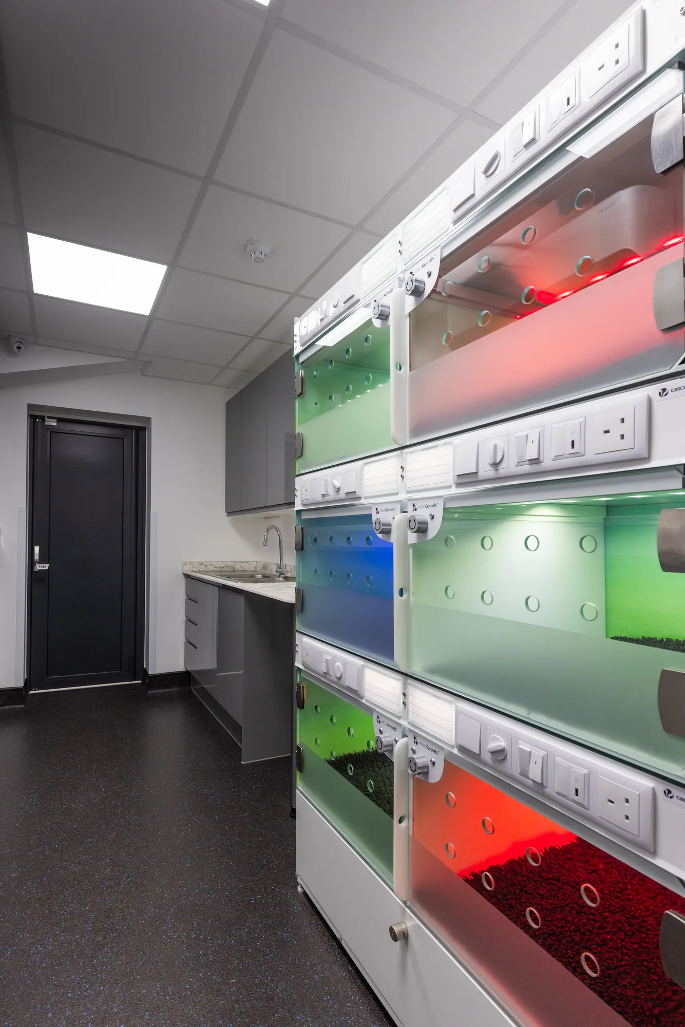 Bank of glass-fronted kennels at Vetemis Referrals, Brownhills, with individually lit compartments and a fitted sink run opposite